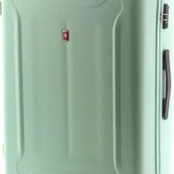 Coupon 🎁 Gladiator Beetle L Spinner 78 - TSA Slot - Mint ✨