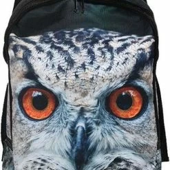 Beste recensies van 🤩 PIA Soft Toys Rugzak Uil ✔️
